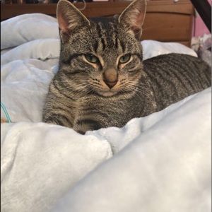 Meet your Posher, Emma